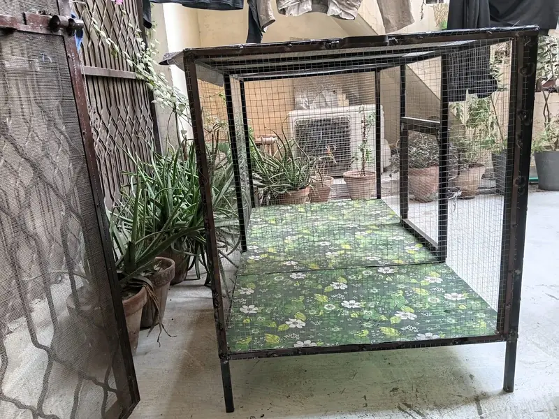 Metal big size Cage — photo 2