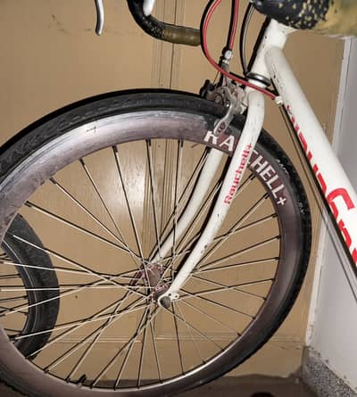 Rachelle+ Sunrise imported Racing Road cycle