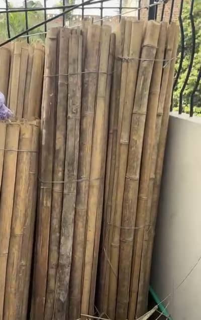 Baboos for Sales - Baboos for Gardan and Outdoor