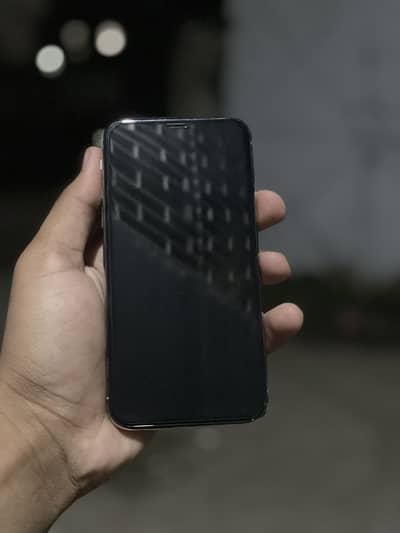 Apple iPhone X