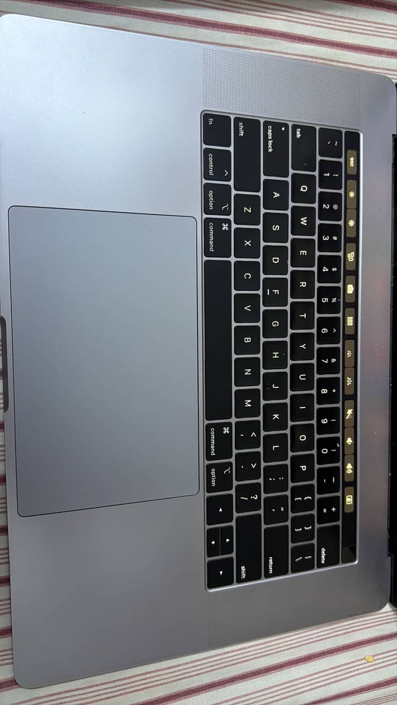 Apple pro 2018 4