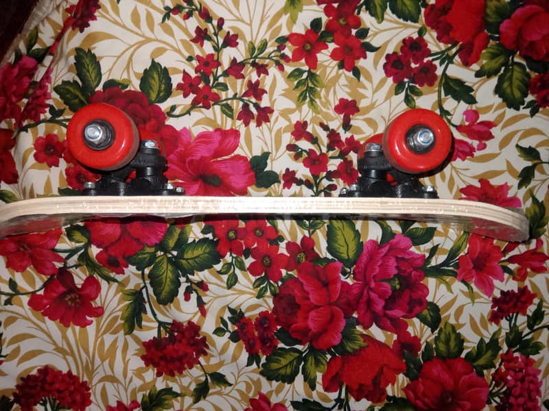 Skating Board  . 2