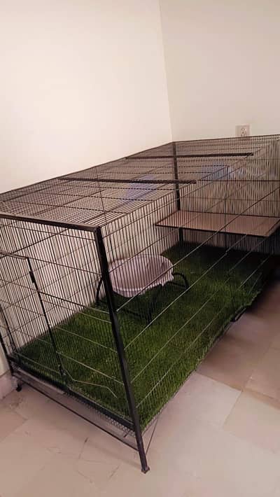 large size cat cage