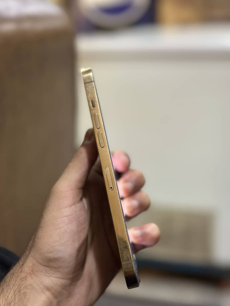 Apple iPhone 12 Pro Max 12