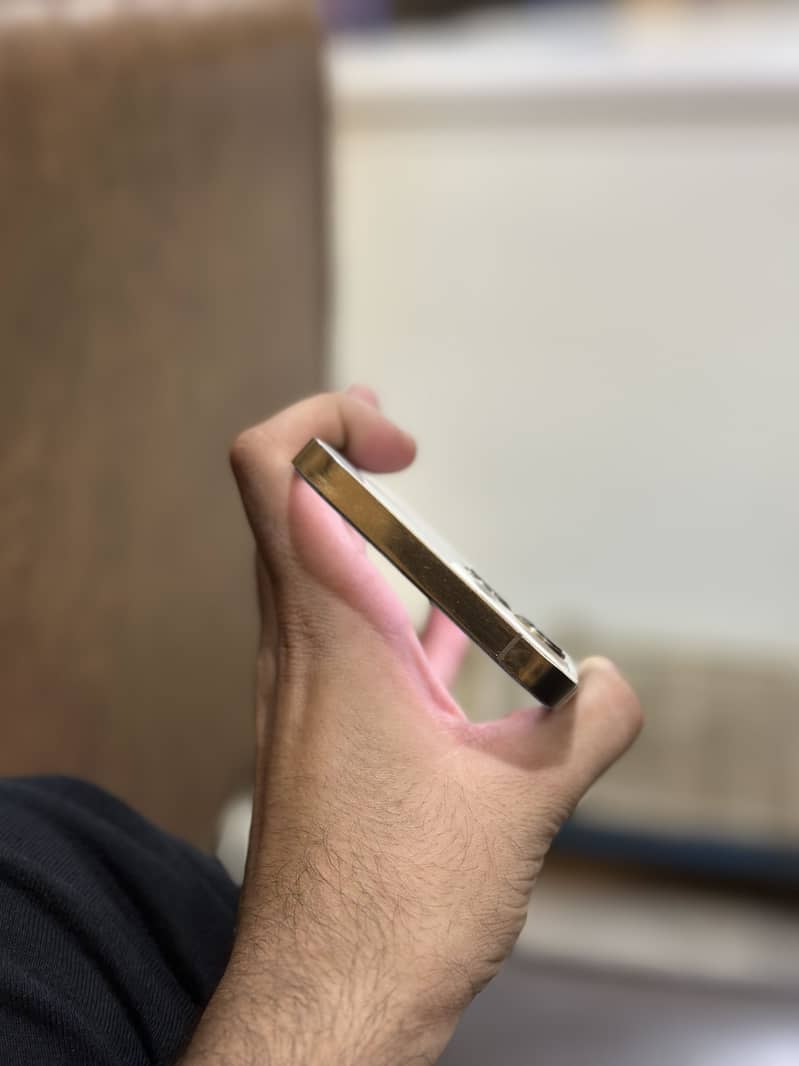 Apple iPhone 12 Pro Max 13