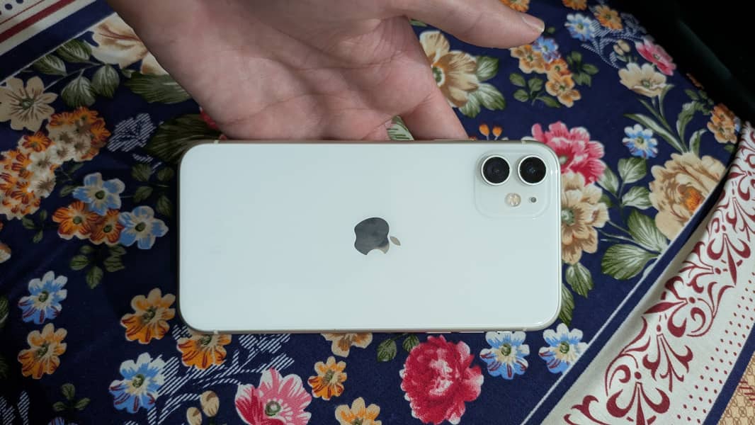 Apple iPhone 11 0