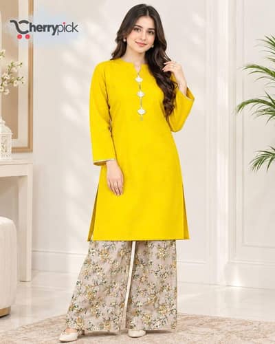 2 piece ladies dress