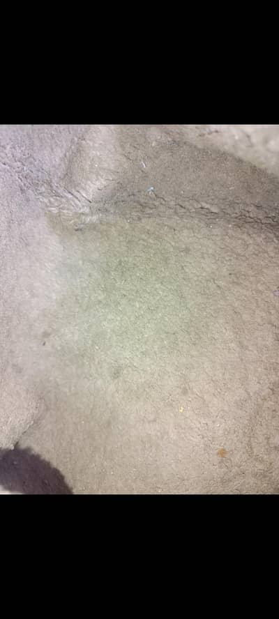 old used carpet