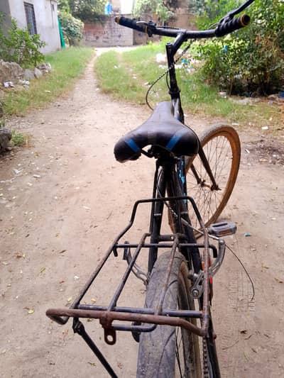 Phonix cycle  Bicycle