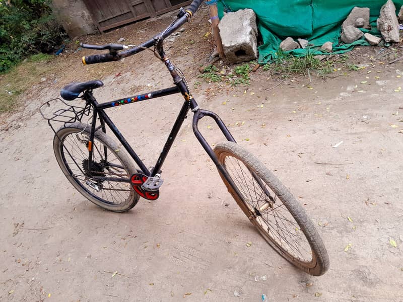Phonix cycle  Bicycle 2