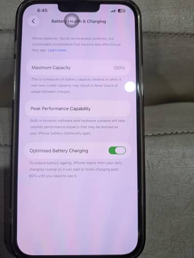 Apple iPhone 13 Pro Max