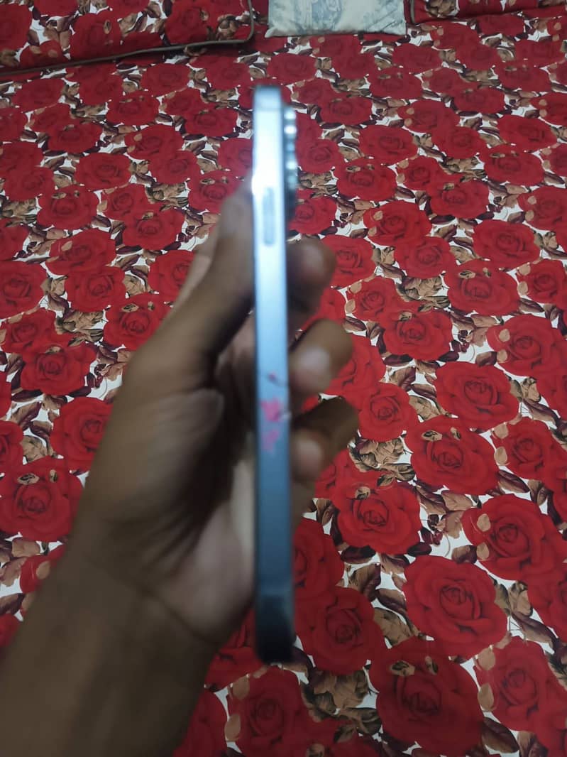 Apple iPhone 13 Pro Max 1