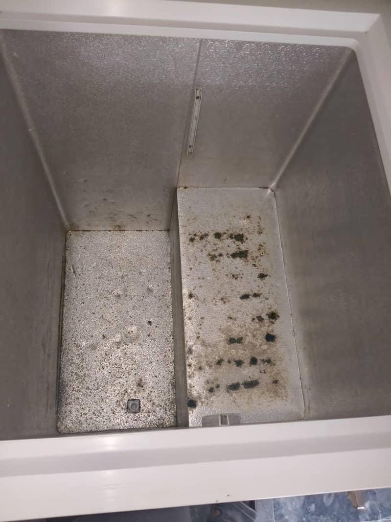 Haier  freezer 1