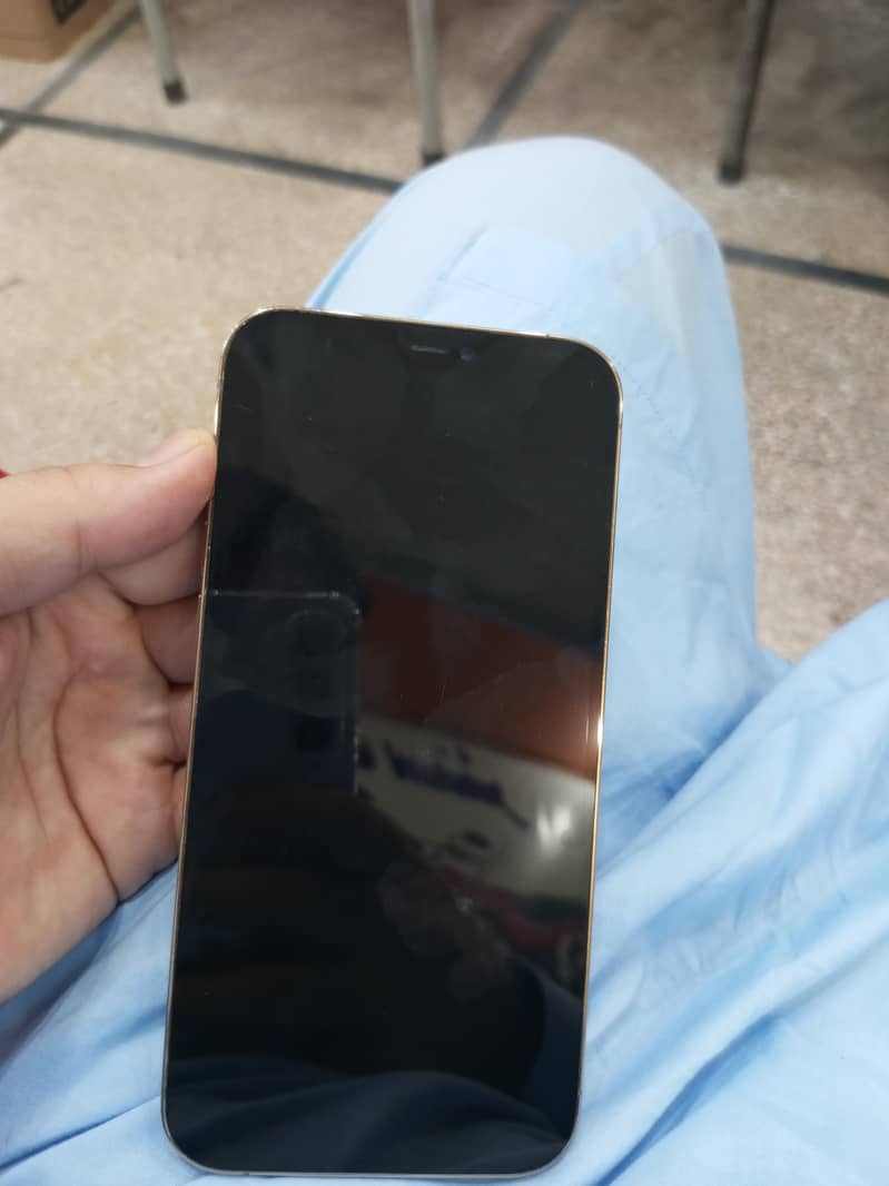 Apple iPhone 12 Pro Max 1