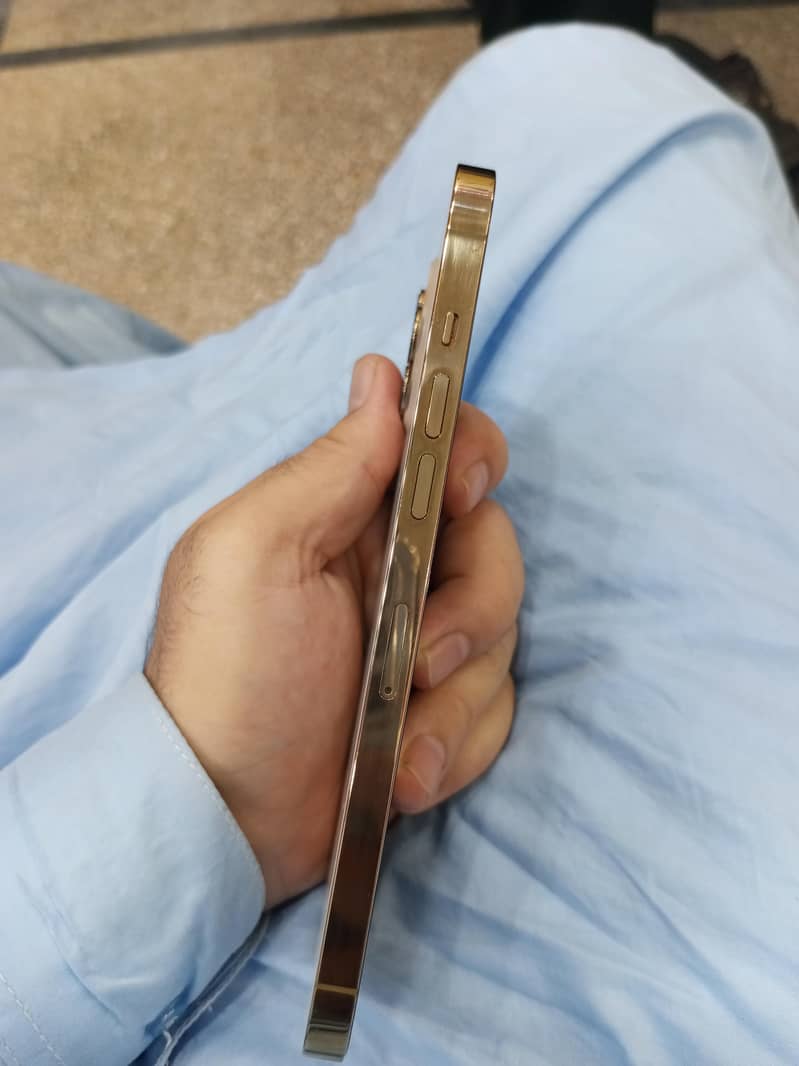 Apple iPhone 12 Pro Max 5