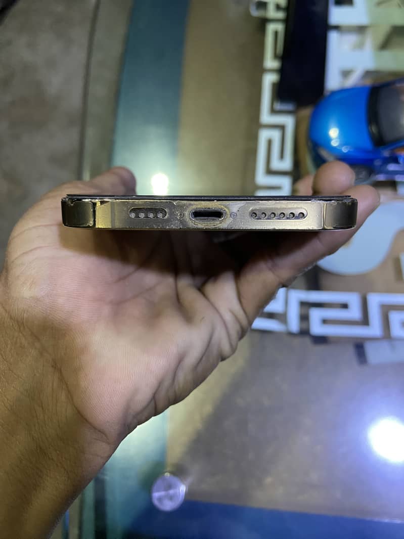 Apple iPhone 13 Pro Max 1