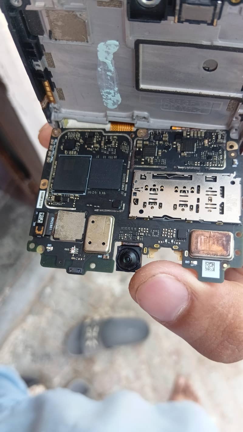Dcode Bold 3 11