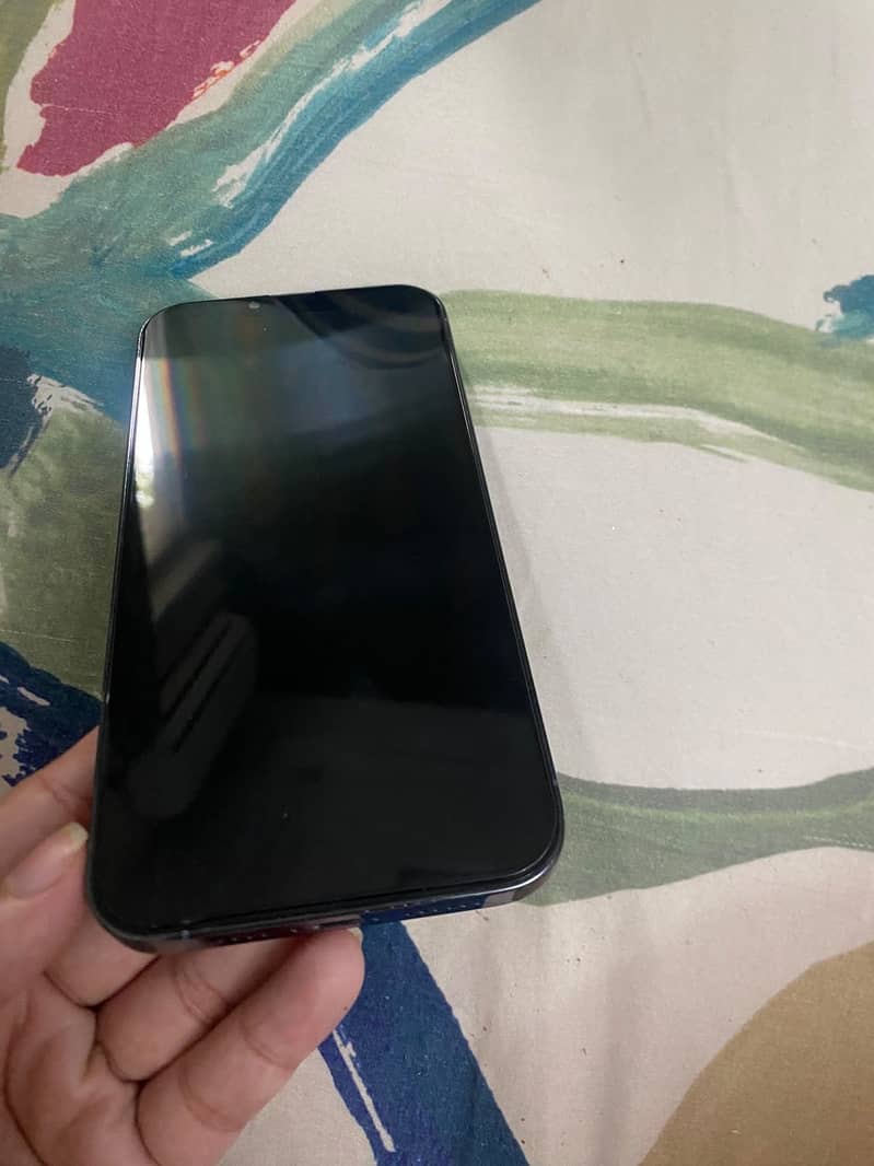 Apple iPhone 13 Pro Max 6
