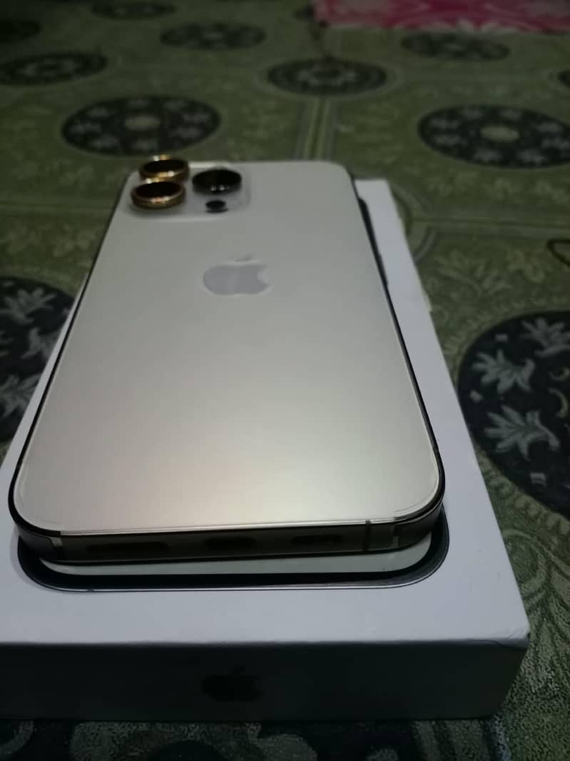 Apple iPhone 14 Pro Max 1