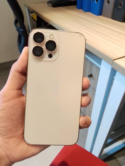 Apple iPhone 13 Pro Max