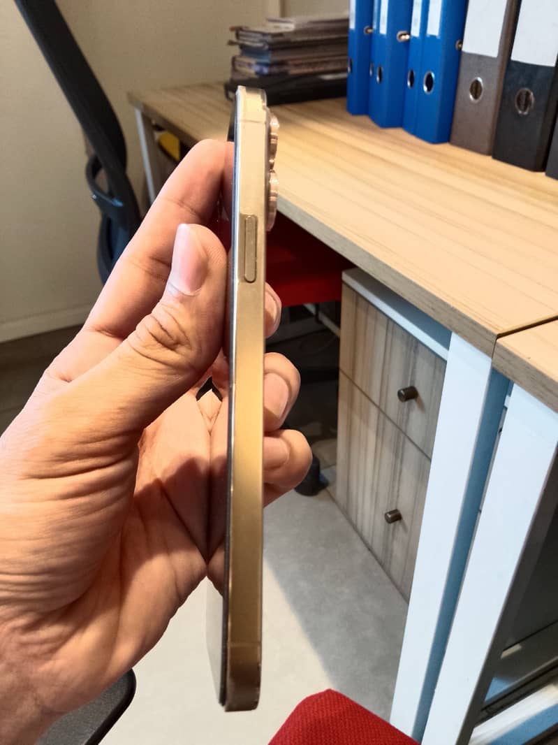 Apple iPhone 13 Pro Max 1
