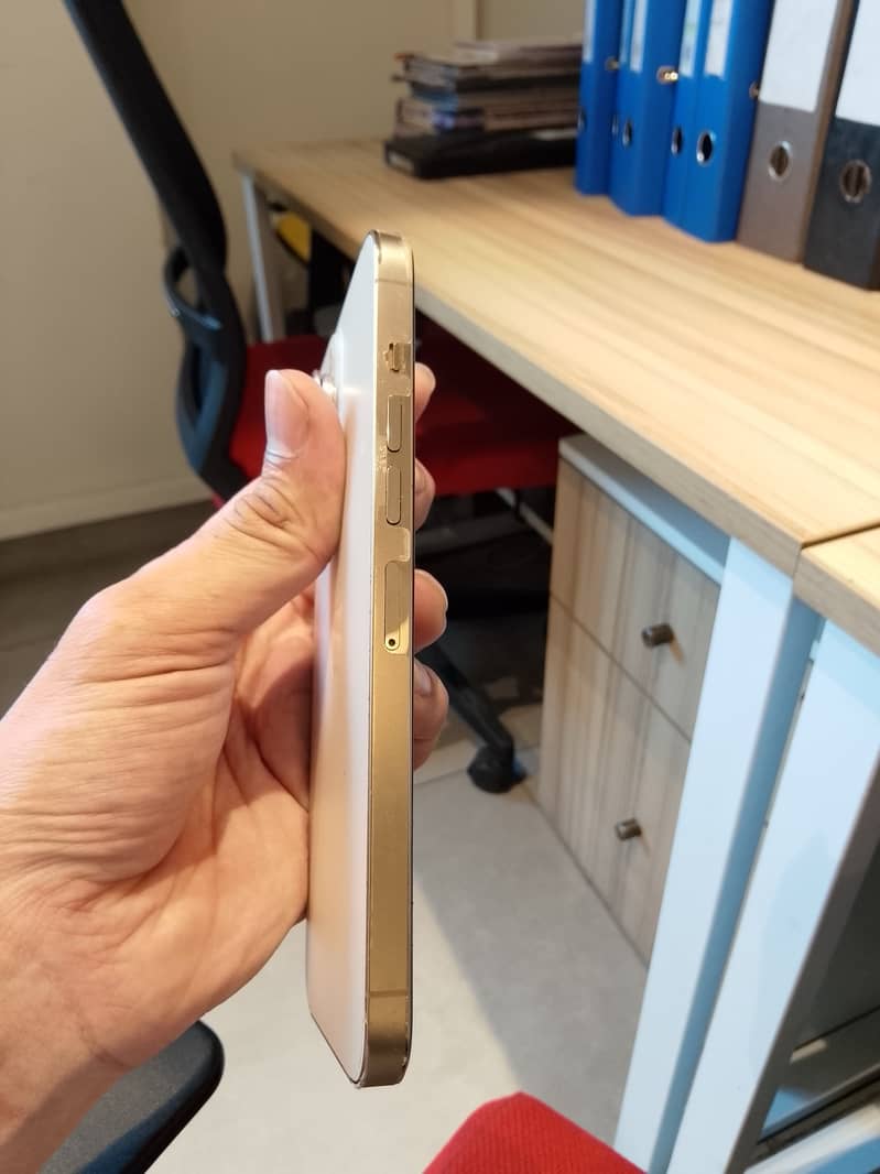 Apple iPhone 13 Pro Max 3