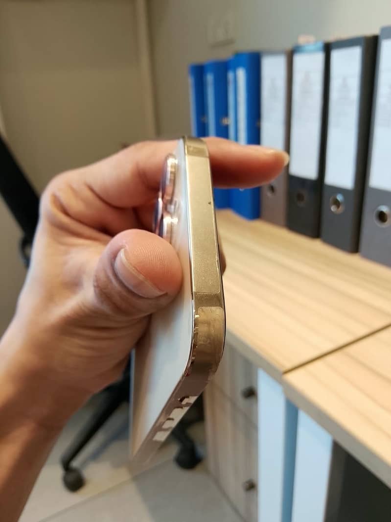 Apple iPhone 13 Pro Max 4