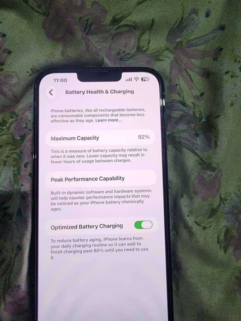Apple iPhone 13 Pro Max 3