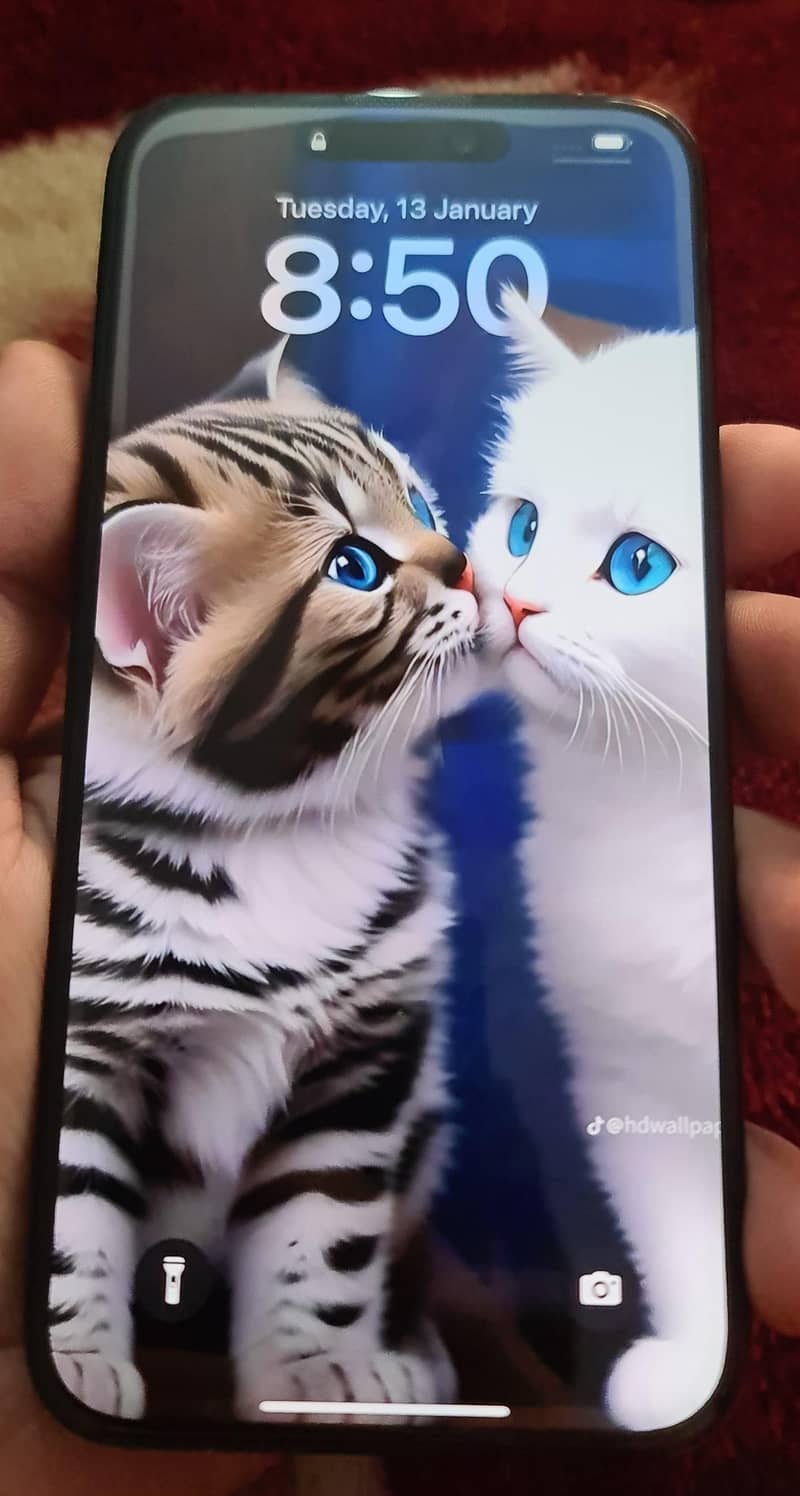Apple iPhone 15 Pro Max 5