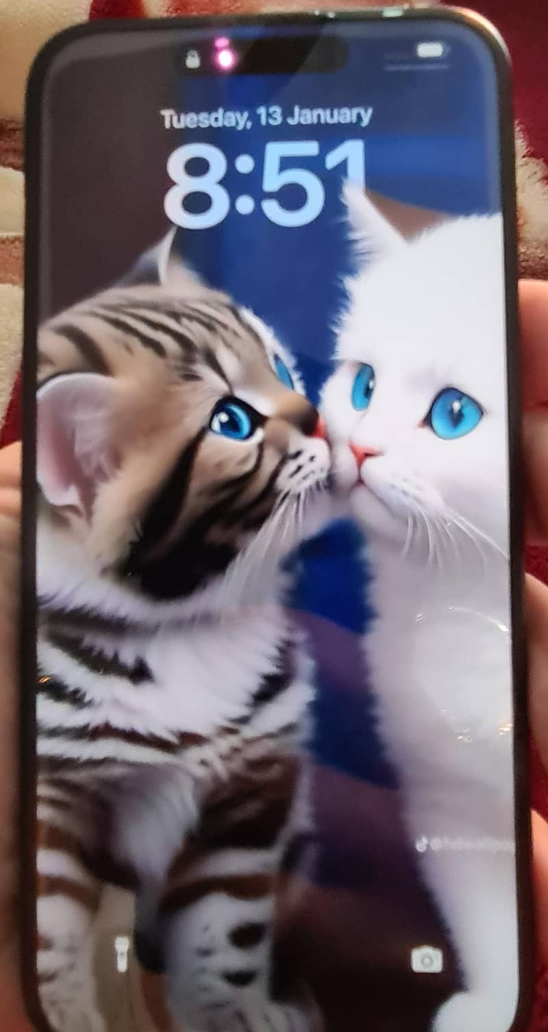 Apple iPhone 15 Pro Max 6