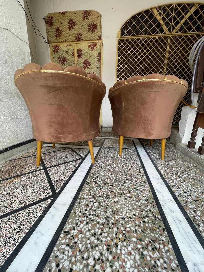 2 coffee Chairs 2