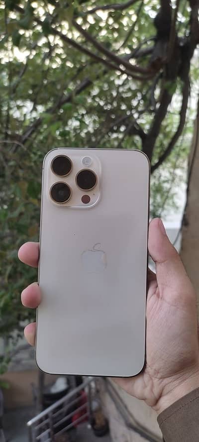 Apple iPhone 14 Pro Max read carefully