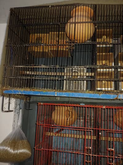 Cages and boxes