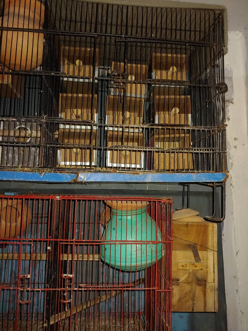Cages and boxes 1