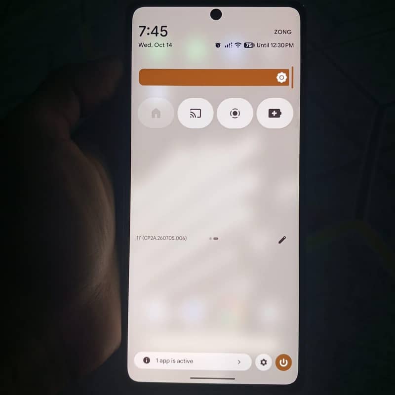 Google Pixel 7 Pro 6