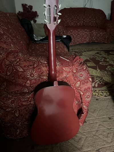 Student guitar