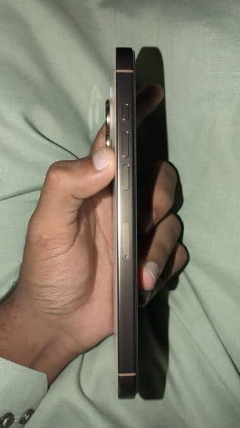 Apple iphone 16 Pro Max 1
