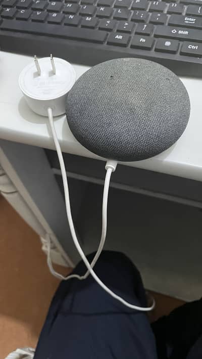 Google nest mini 2