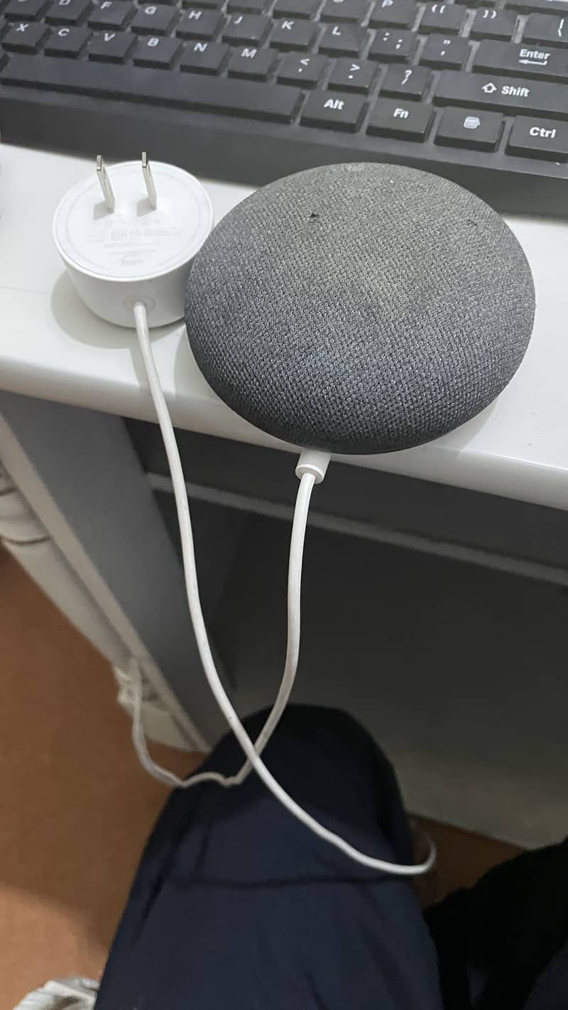 Google nest mini 2 0