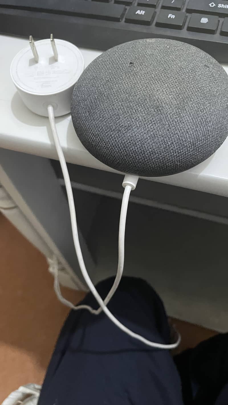 Google nest mini 2 1