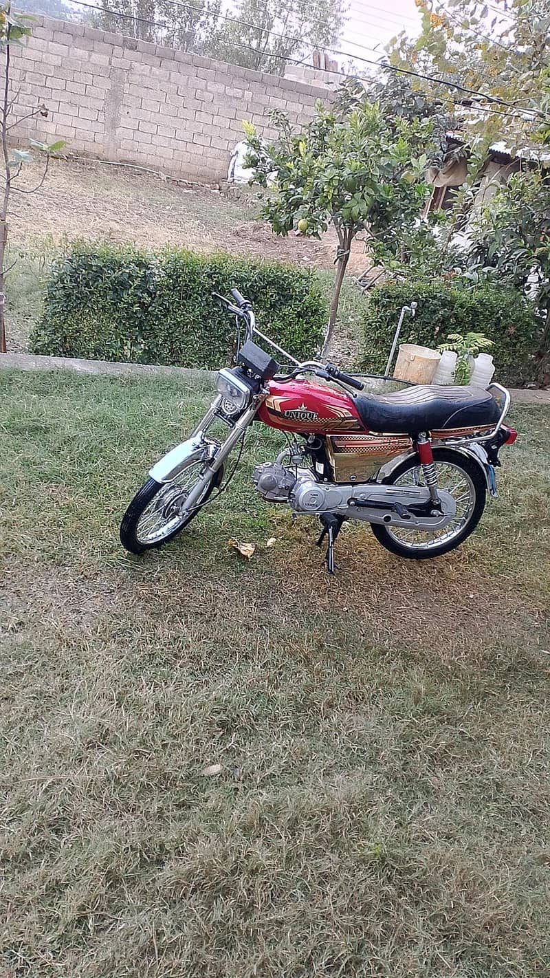 unique gold edition 6
