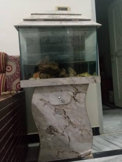 fish glass box
