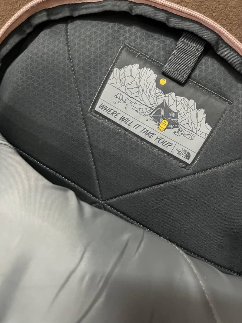 The north face 1