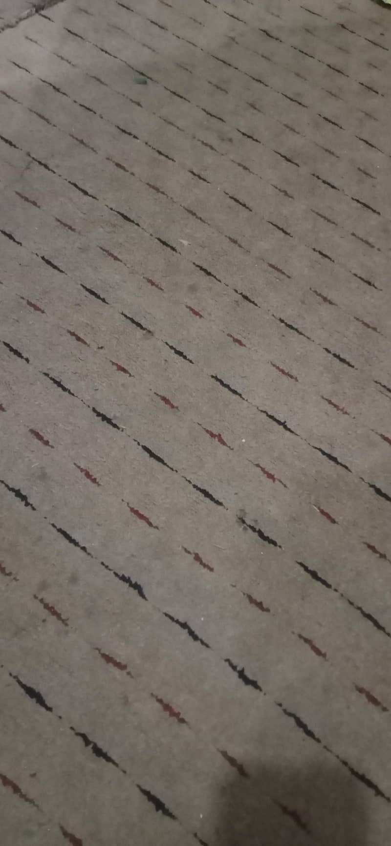 carpet 0