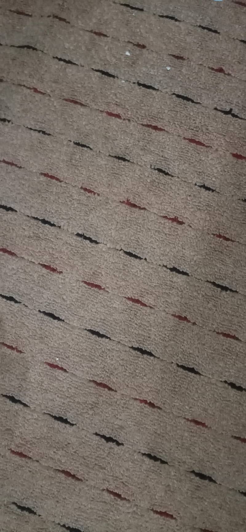 carpet 1
