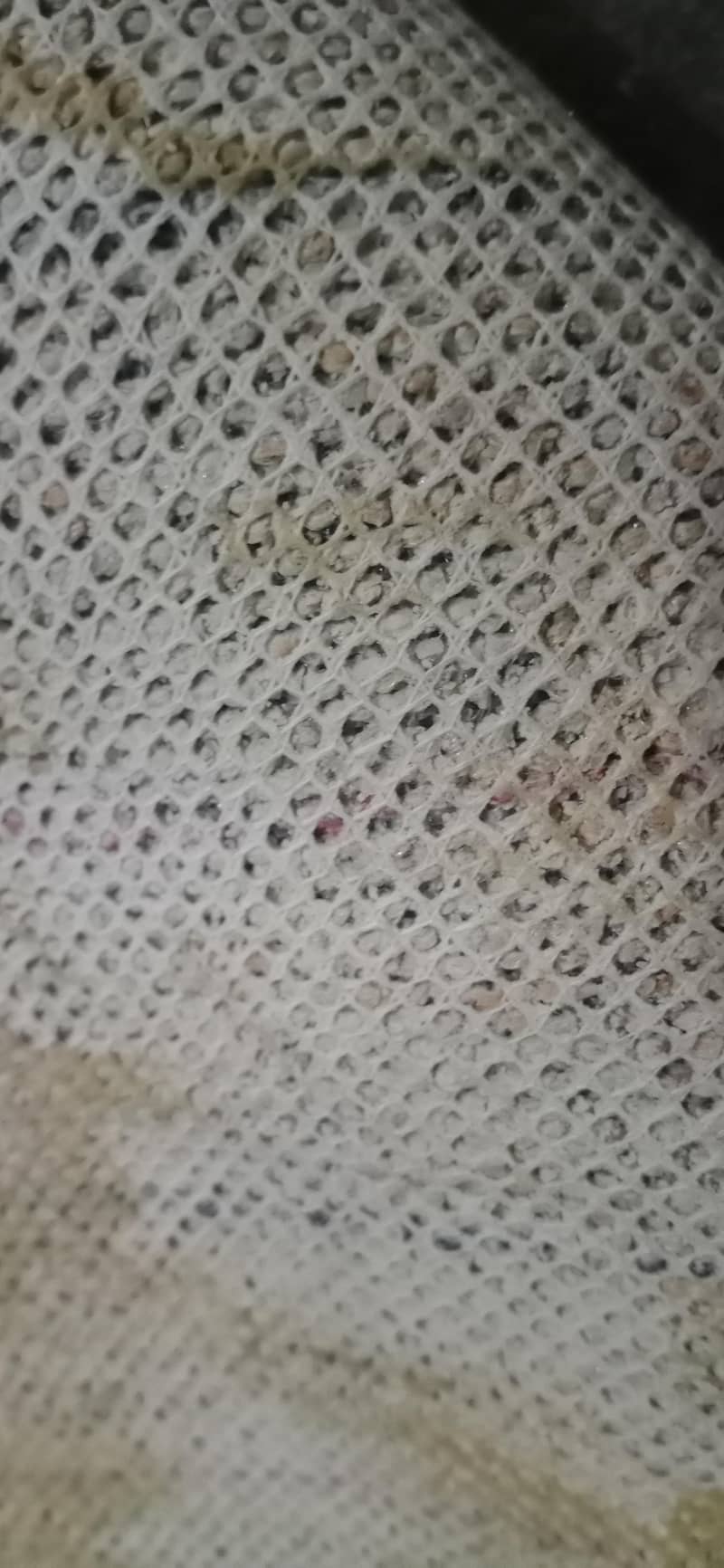 carpet 3