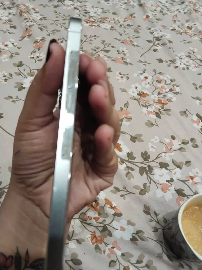 Apple iPhone 13 Pro Max 0