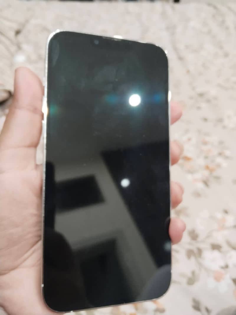 Apple iPhone 13 Pro Max 1