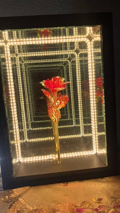 infinity rose frame lamp