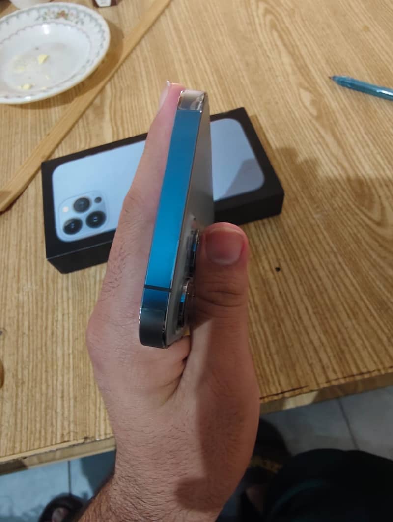 Apple iPhone 13 Pro Max 1